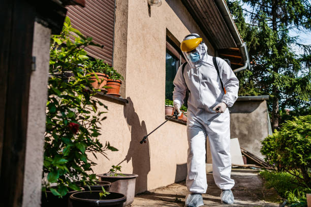 Best Pest Inspection Near Me  in Meadowbrook, CA