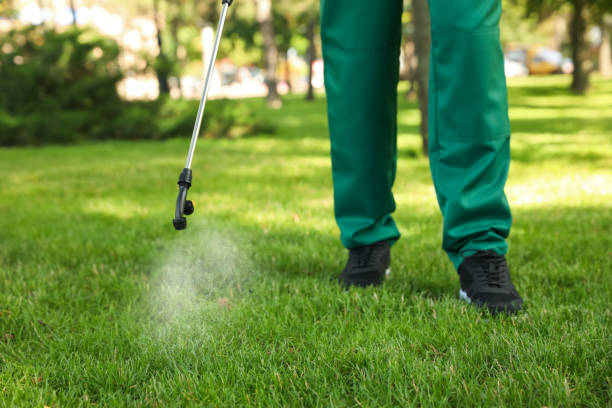 Best Residential Pest Control  in Meadowbrook, CA