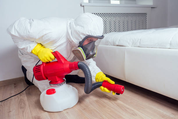 Best Pest Control Treatment  in Meadowbrook, CA