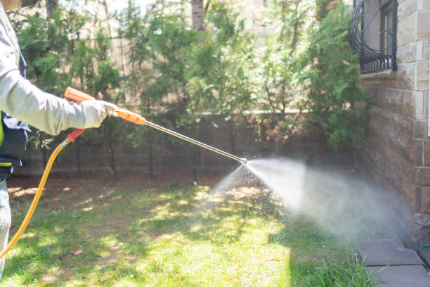Reliable Meadowbrook, CA Pest Control Solutions