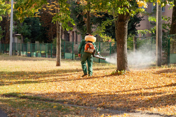 Best Bed Bug Extermination  in Meadowbrook, CA