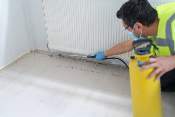 Best Emergency Pest Control  in Meadowbrook, CA