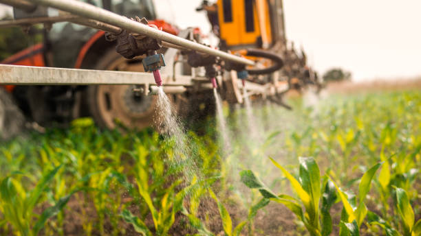 Best Mosquito Control Services  in Meadowbrook, CA