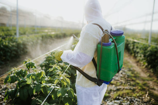 Best Best Pest Control Companies  in Meadowbrook, CA